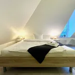 Miete 1 Schlafzimmer wohnung von 40 m² in Dresden