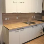 Rent 1 bedroom apartment in České Budějovice