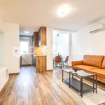 Rent 1 bedroom apartment of 50 m² in City of Zagreb