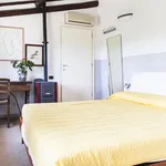 Rent 1 bedroom apartment in Florence