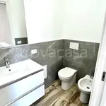 Rent 4 bedroom apartment of 100 m² in Piacenza