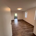 Rent 1 bedroom house of 123 m² in Schwabstedt