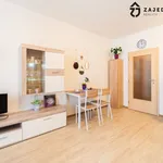 Rent 1 bedroom apartment in Slavkov u Brna