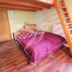 Rent 1 bedroom apartment of 30 m² in Pilsen