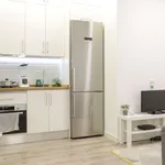 Rent 1 bedroom apartment of 34 m² in madrid