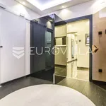 Rent 4 bedroom apartment of 169 m² in Zagreb