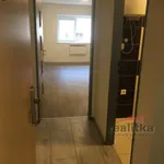 Rent 1 bedroom apartment in Capital City of Prague