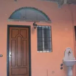 Rent 2 bedroom apartment of 30 m² in Pavia