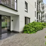 Rent 1 bedroom apartment in Halle