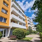 Rent 2 bedroom apartment of 58 m² in Brno