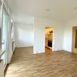 Miete 1 Schlafzimmer wohnung von 36 m² in Chemnitz