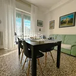 Rent 3 bedroom apartment of 60 m² in Pisa