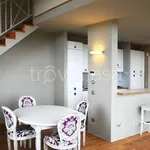 Rent 2 bedroom apartment of 110 m² in Firenze