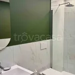 Rent 1 bedroom apartment of 40 m² in Torino