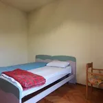 Rent a room in trento