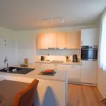 Huur 2 slaapkamer appartement van 106 m² in Ghent