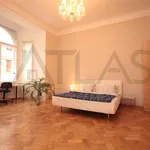 Rent 4 bedroom apartment of 160 m² in Prague