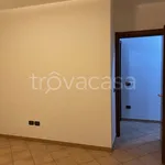 Rent 3 bedroom apartment of 80 m² in Sissa Trecasali