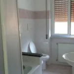 Rent 5 bedroom apartment of 80 m² in Velletri