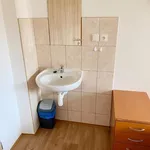 Rent 1 bedroom apartment of 10 m² in Nedvědice