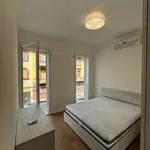 Rent 2 bedroom apartment of 40 m² in Milan