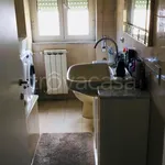 Rent 2 bedroom apartment of 50 m² in Terracina