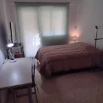 Alquilar 5 dormitorio apartamento en Alicante