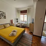 Alugar 7 quarto apartamento em Coimbra