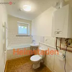 Rent 3 bedroom apartment of 48 m² in Ostrava