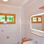 Rent 3 bedroom apartment of 70 m² in Treviso