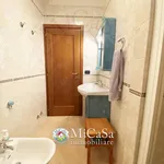 Rent 3 bedroom apartment of 65 m² in Pisa