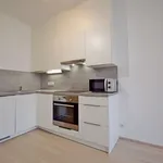 Rent 1 bedroom apartment of 30 m² in Capital City of Prague