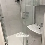 Rent 3 bedroom apartment in Zlín