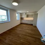 Rent 3 bedroom apartment in Opava