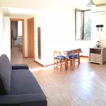 Rent 2 bedroom apartment of 45 m² in Roma