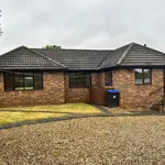 Rent 4 bedroom house in East Midlands