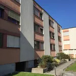 Rent 5 bedroom apartment of 85 m² in Zurich