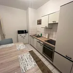 Rent 4 bedroom apartment of 75 m² in Leipzig