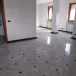 Rent 3 bedroom apartment of 60 m² in Carrara