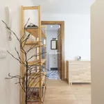 Rent 2 bedroom apartment in madrid