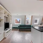 Rent 3 bedroom apartment of 70 m² in Nieuwe Pijp