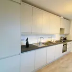 Rent 1 bedroom apartment in dublin