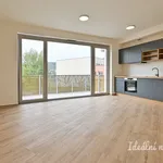 Pronajměte si 2 ložnic/e byt o rozloze 55 m² v Brno