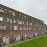 Rent 4 bedroom apartment of 135 m² in De Vesting