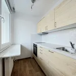 Rent 1 bedroom apartment in Chrudim