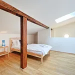 Rent 3 bedroom apartment of 110 m² in Prague