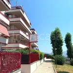 Rent 3 bedroom apartment of 85 m² in Velletri