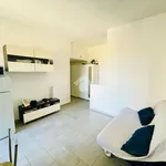 Rent 1 bedroom apartment of 40 m² in Milan