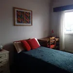 Rent 4 bedroom apartment in Coimbra