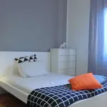 Rent a room in padua